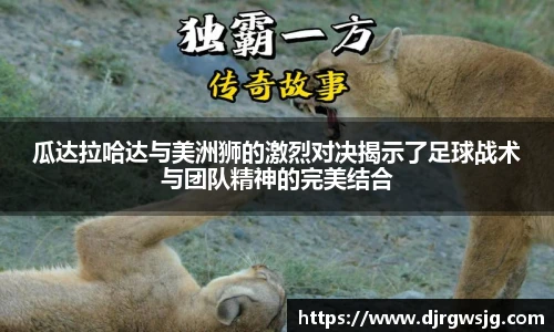 EVO视讯APP